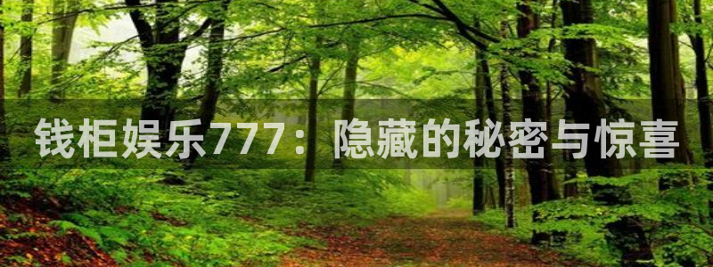 顺盈娱乐：钱柜娱乐777：隐藏的秘密与惊喜
