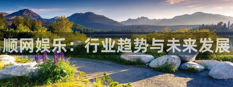 顺盈娱乐：顺网娱乐：行业趋势与未来发展