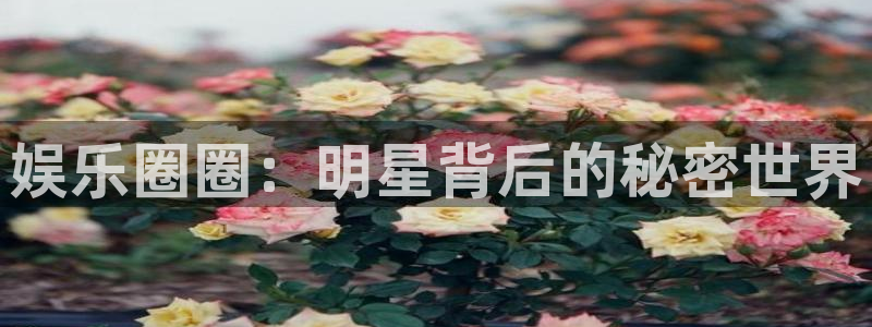 顺盈娱乐：娱乐圈圈：明星背后的秘密世界