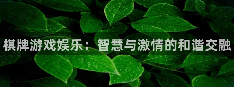 顺盈娱乐：棋牌游戏娱乐：智慧与激情的和谐交融