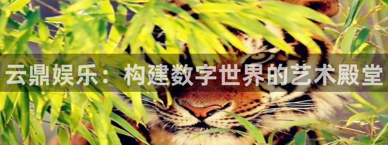 顺盈娱乐：云鼎娱乐：构建数字世界的艺术殿堂