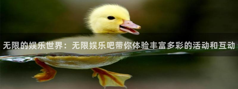 顺盈娱乐：无限的娱乐世界：无限娱乐吧带你体验丰富多彩的活动和互动