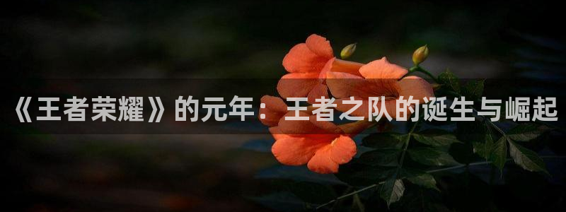 顺盈娱乐：《王者荣耀》的元年：王者之队的诞生与崛起