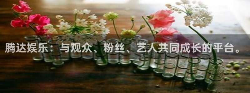 顺盈娱乐：腾达娱乐：与观众、粉丝、艺人共同成长的平台。