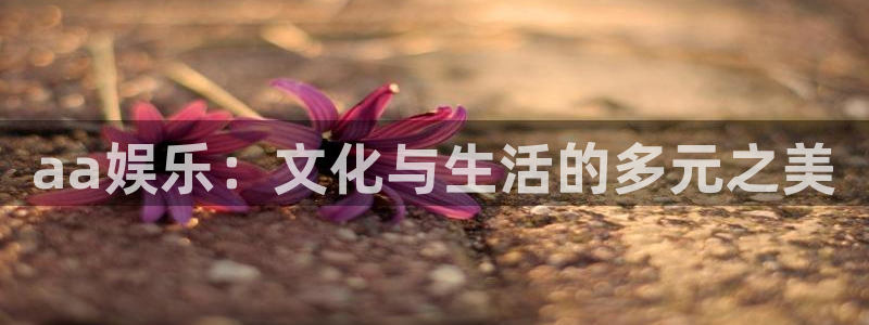 顺盈娱乐：aa娱乐：文化与生活的多元之美