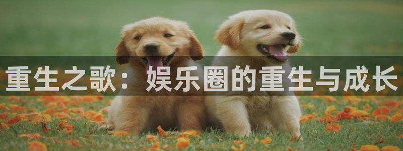 顺盈娱乐：重生之歌：娱乐圈的重生与成长