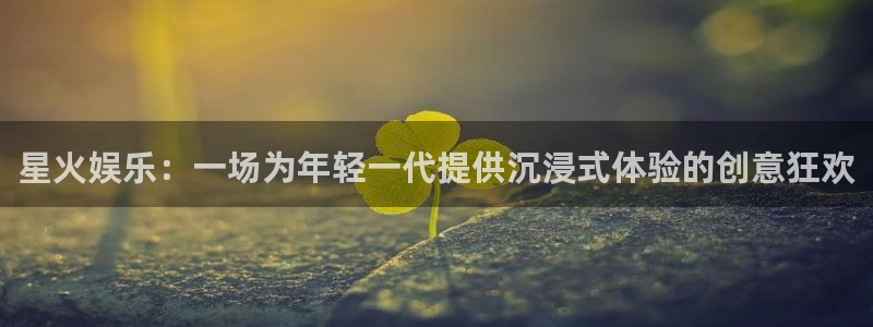 顺盈娱乐：星火娱乐：一场为年轻一代提供沉浸式体验的创意狂欢
