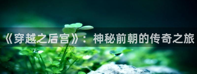 顺盈娱乐：《穿越之后宫》：神秘前朝的传奇之旅